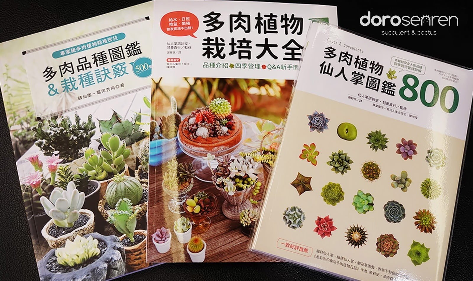 理論分析與實務驗證