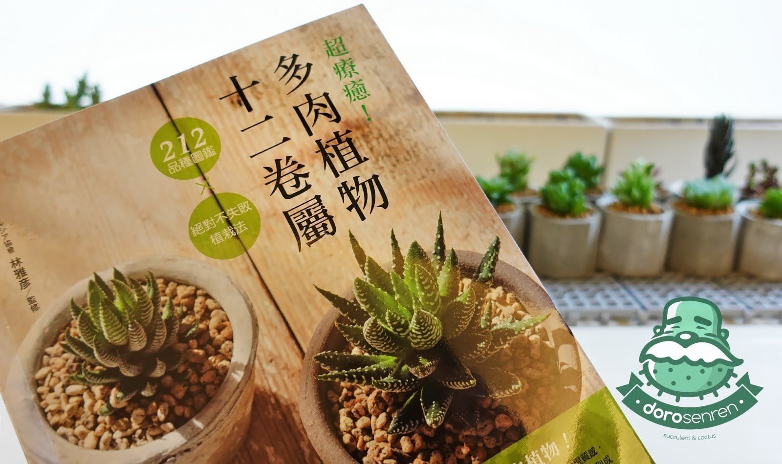 十二卷屬參考書入手