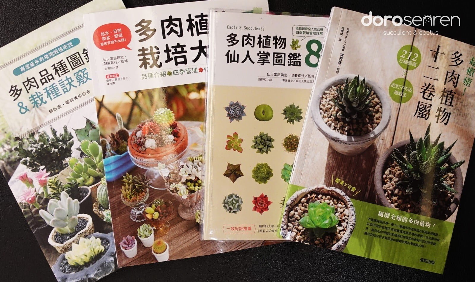 十二卷屬參考書入手