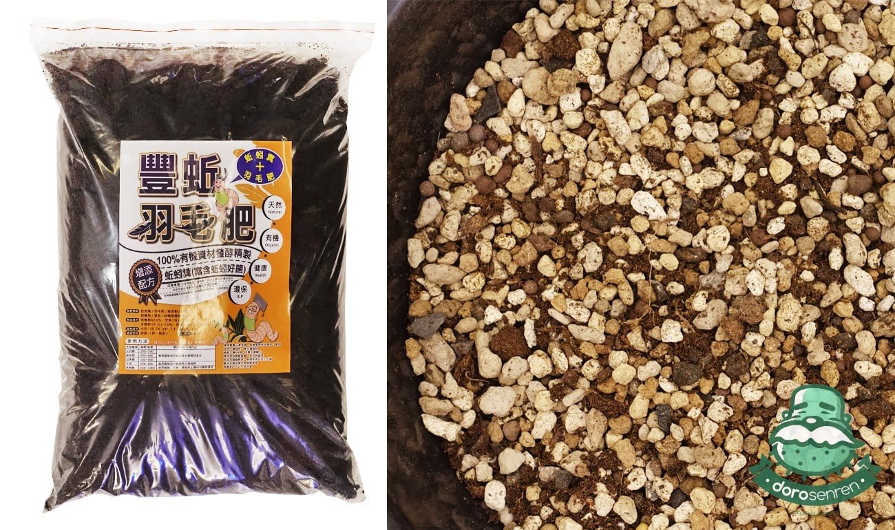 左圖為蚯蚓羽毛肥 右圖為疏水性較高的介質配比