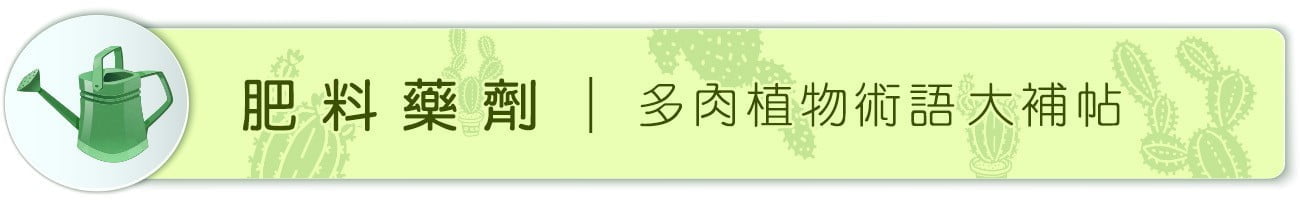 Dorosenren 多肉仙人