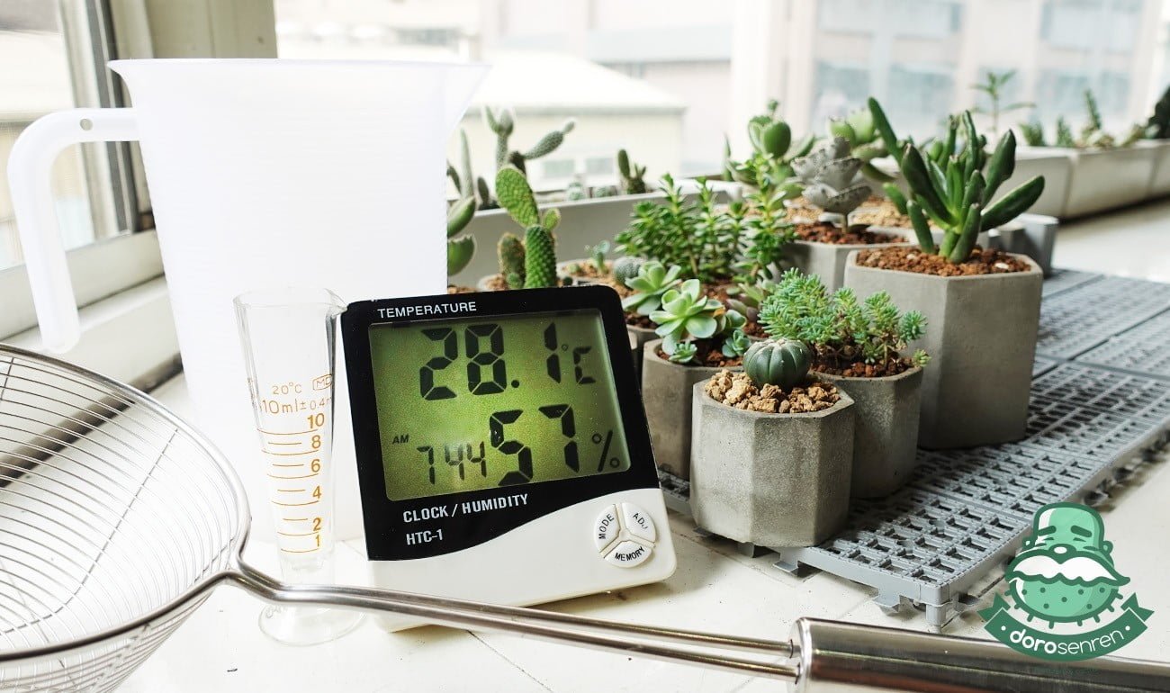 種植多肉植物的小工具