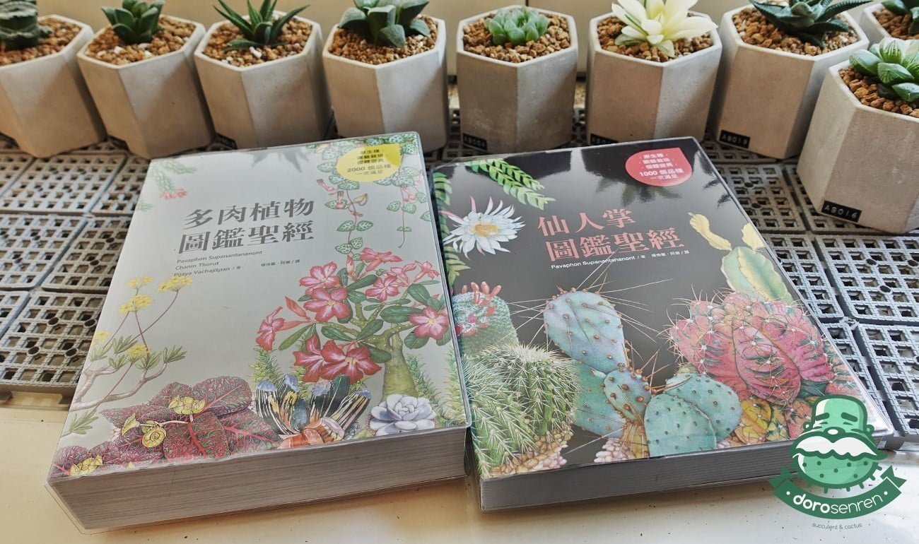 我好像是愛讀書的孩紙