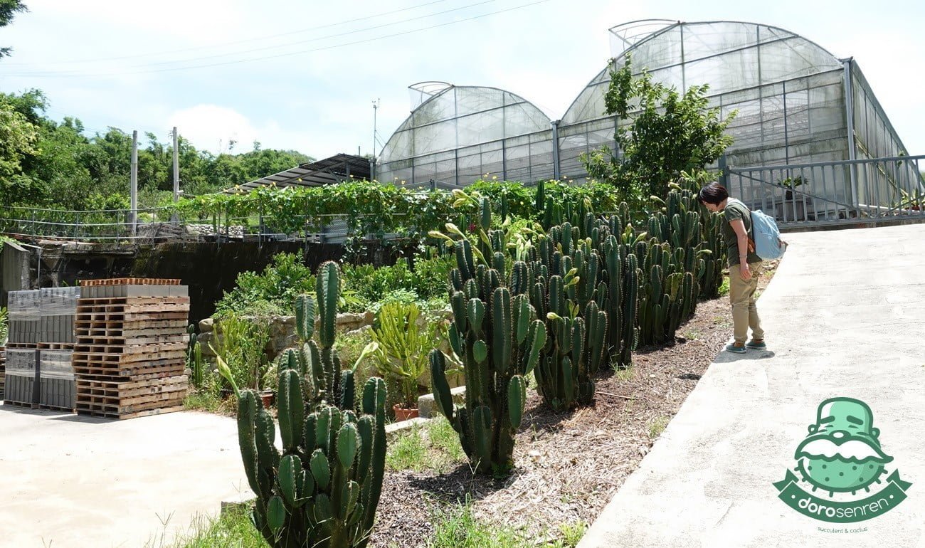 福祥多肉植物園未開放的溫室