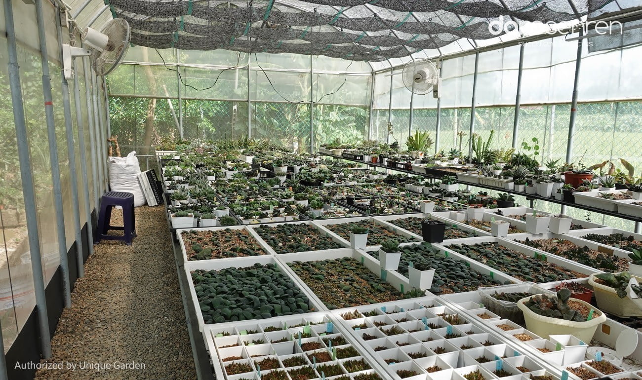 稻田旁的 Unique Garden