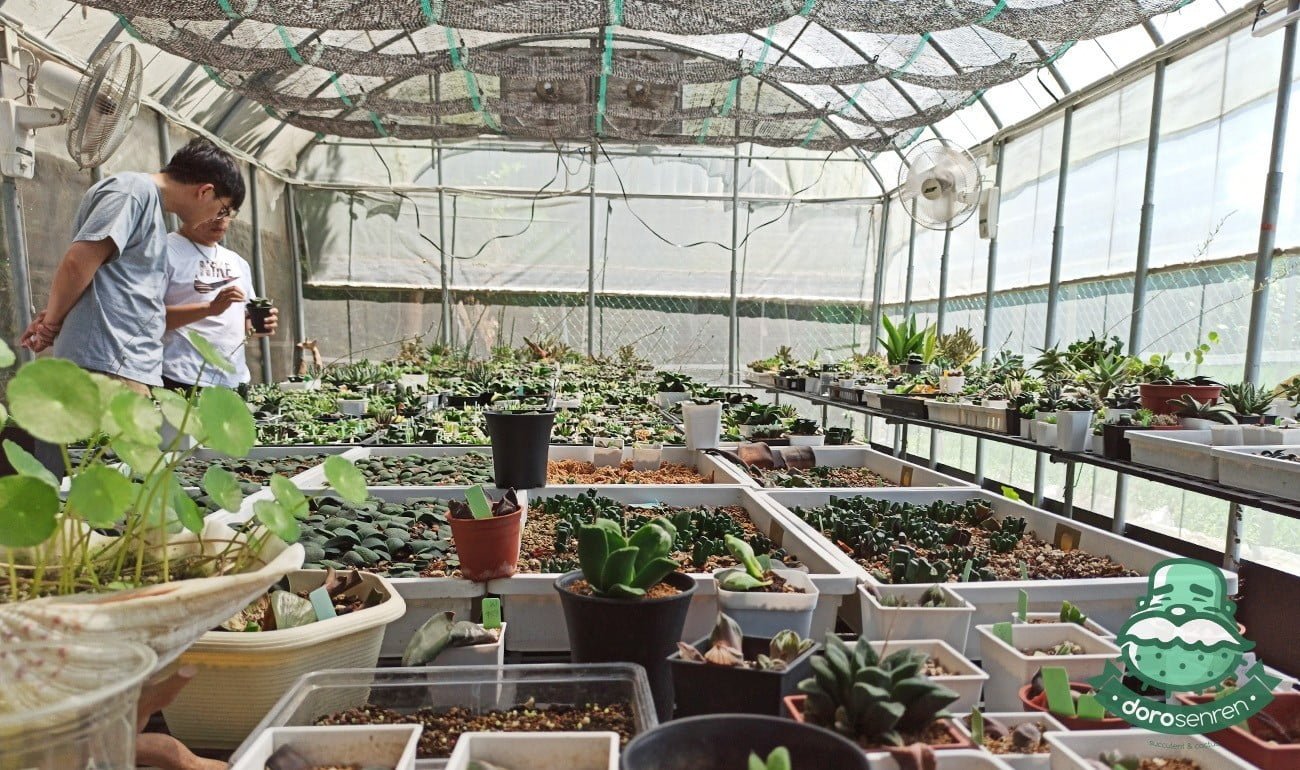 帶了個新同學，順手推入坑!