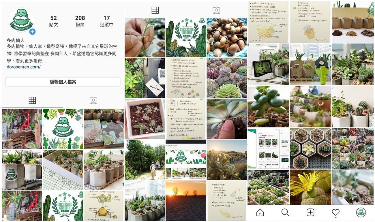 多肉仙人 Instagram