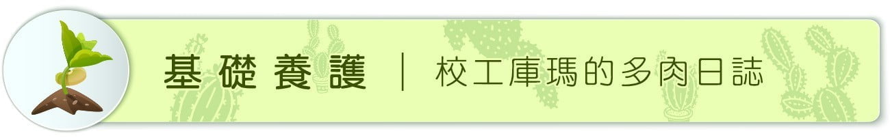 基礎養護 ｜ 校工庫瑪的多肉日誌
