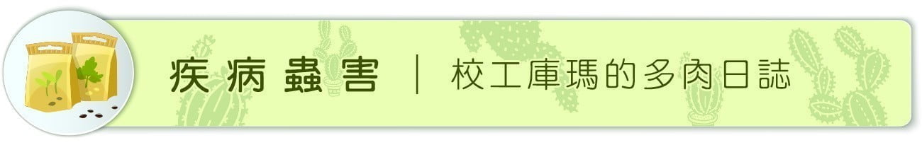 疾病蟲害 ｜ 校工庫瑪的多肉日誌