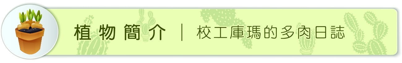植物簡介 ｜ 校工庫瑪的多肉日誌