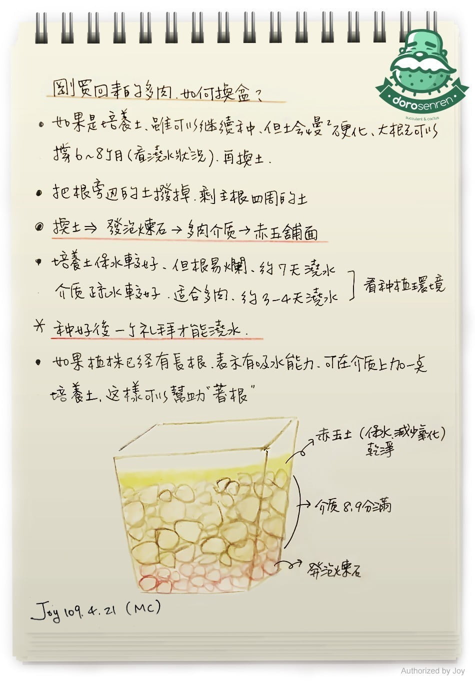 剛買回來的多肉如何換盆?