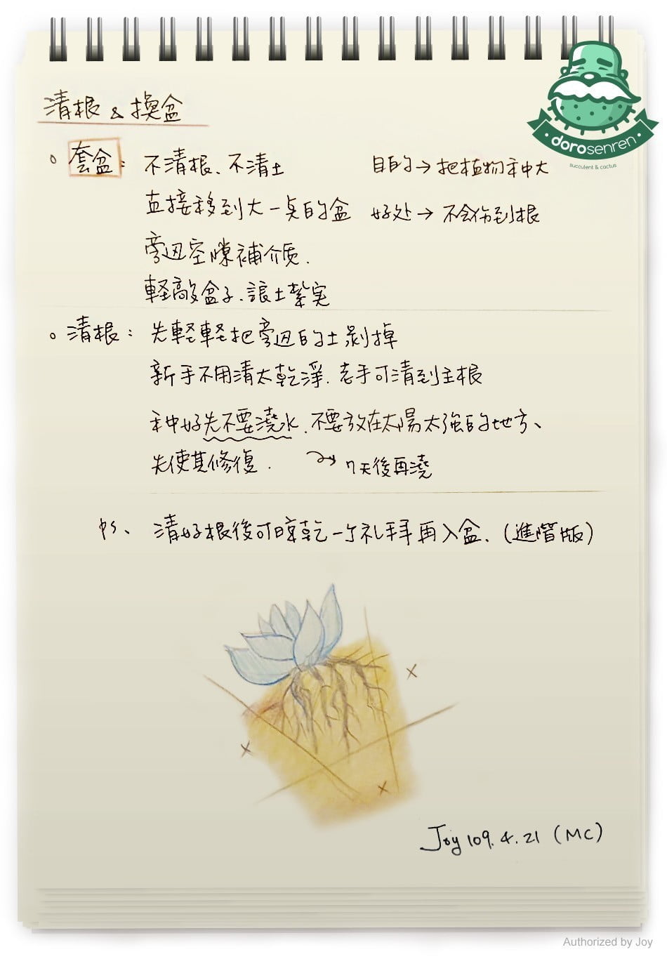 清根 & 換盆
