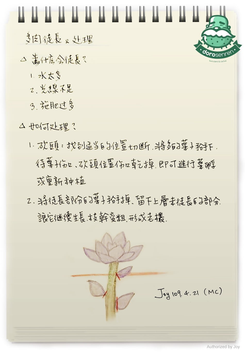 多肉徒長 & 處理