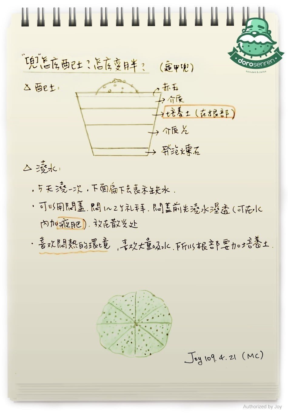 兜 栽種要點
