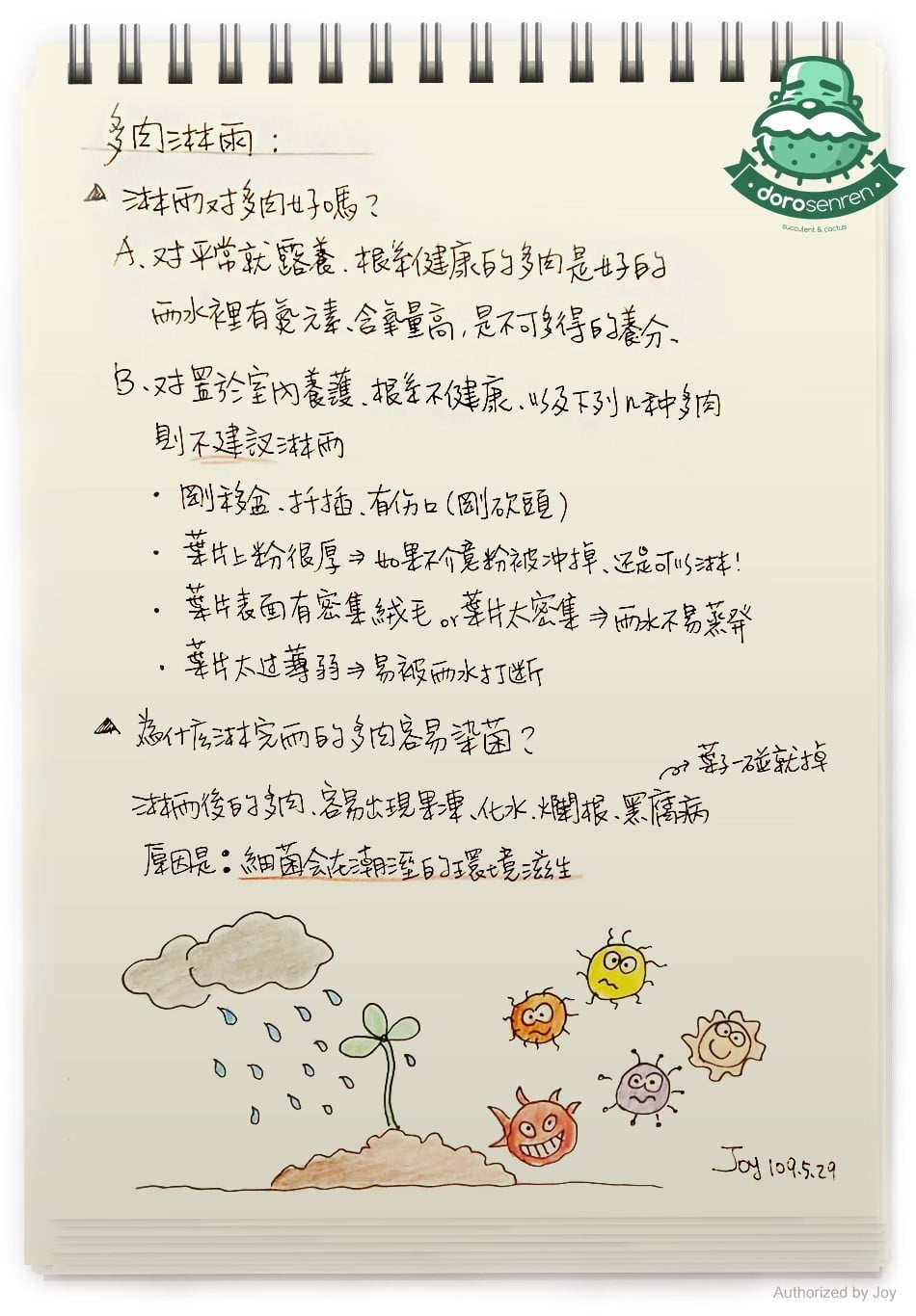 Dorosenren 多肉仙人