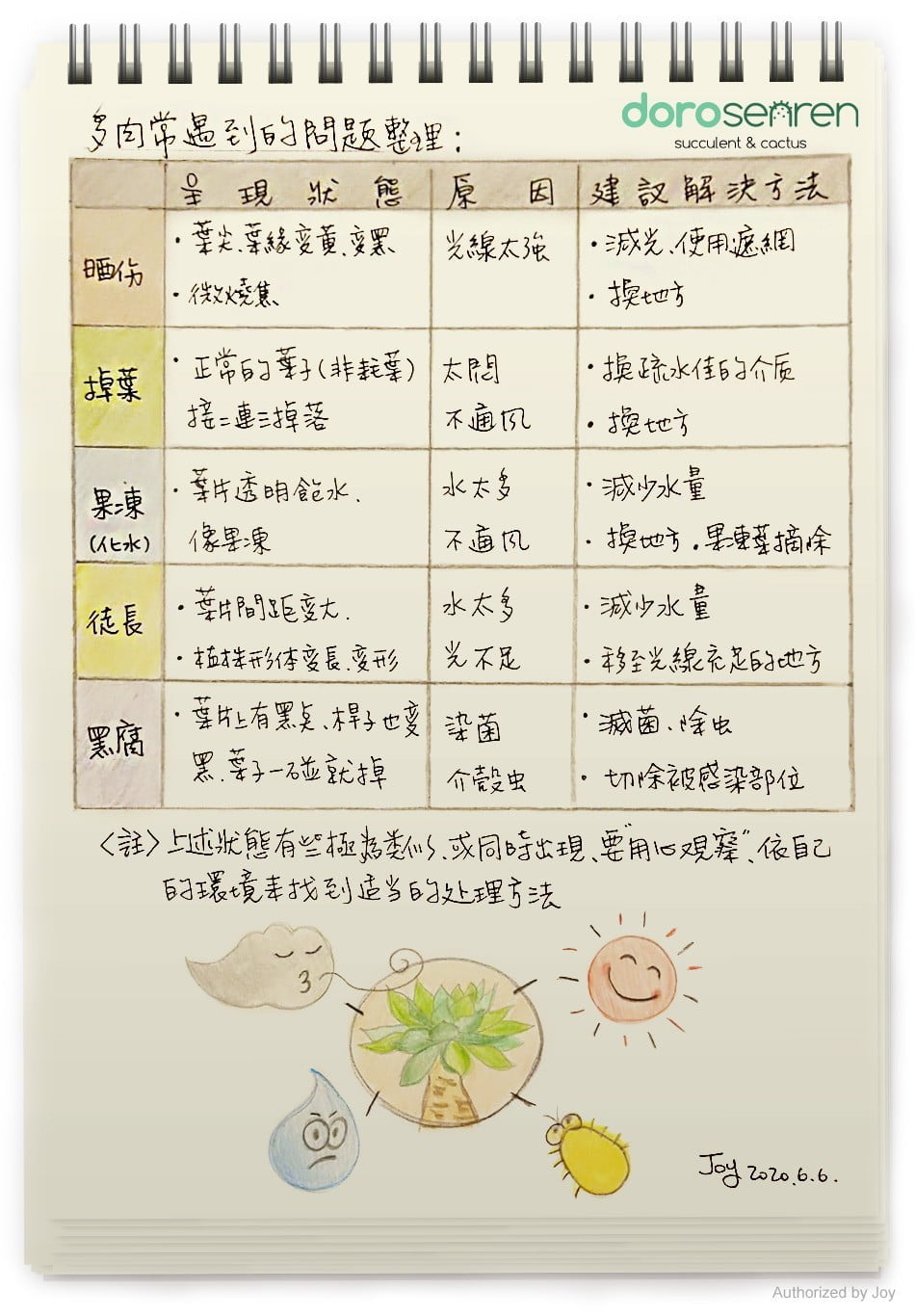多肉淋雨