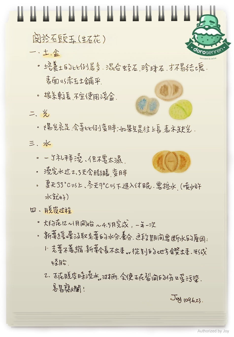 石頭玉 栽種要點