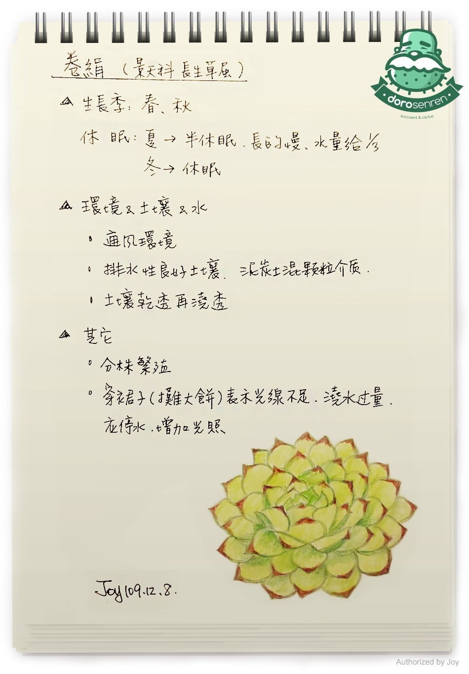 卷絹 栽種要點