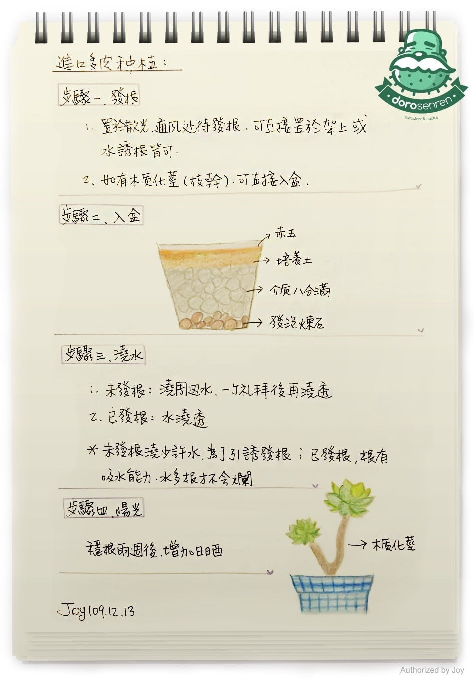 進口多肉栽種要點