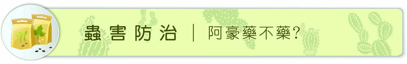 Dorosenren 多肉仙人