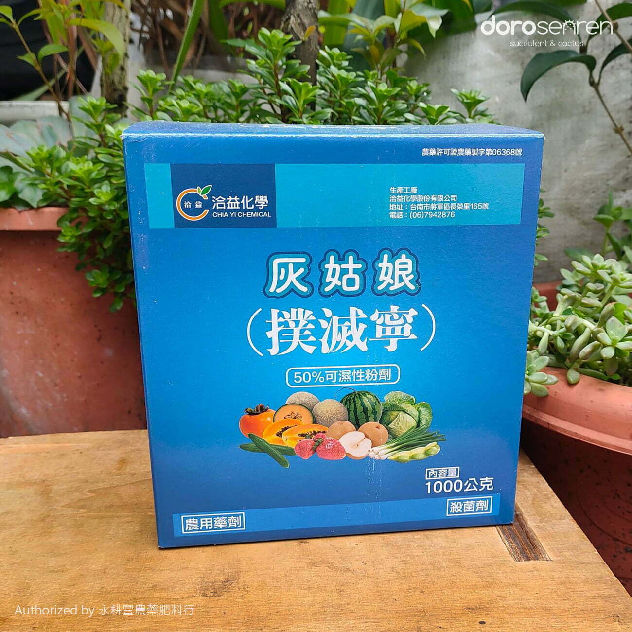 撲滅寧 (灰姑娘)