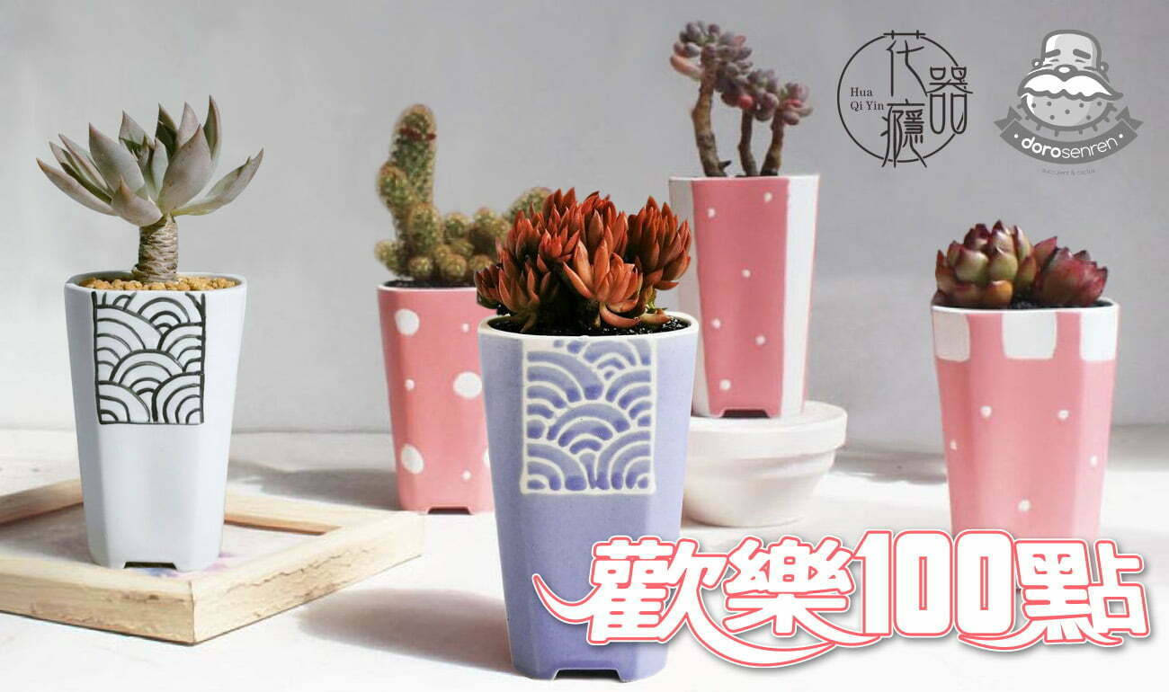 花器癮 歡樂100點