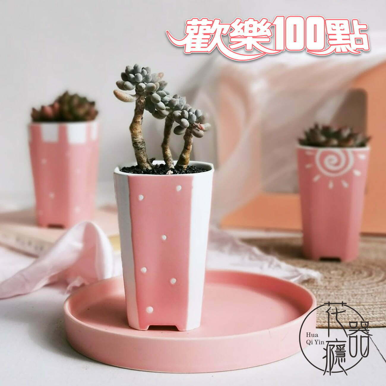Dorosenren 多肉仙人
