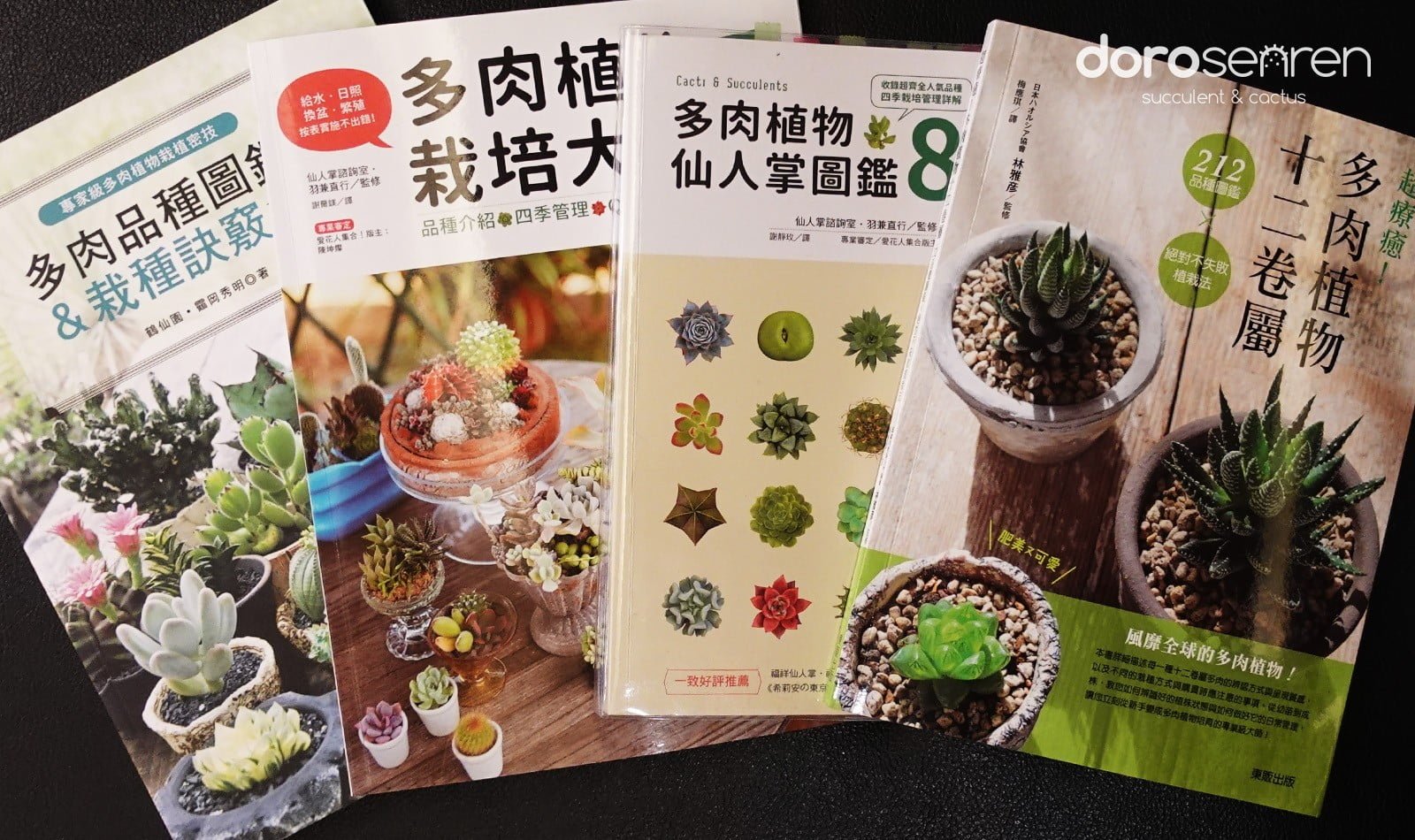值得大推的多肉參考書