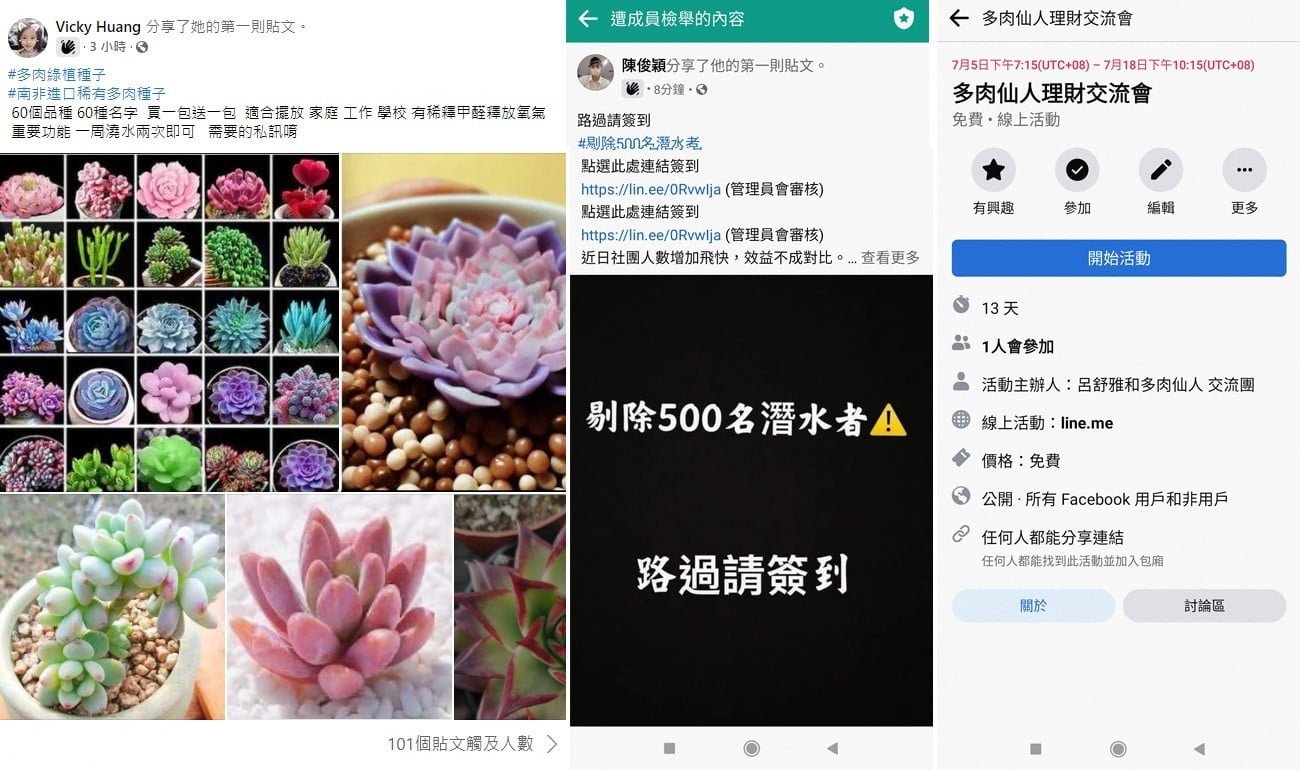 多肉植物詐騙案例