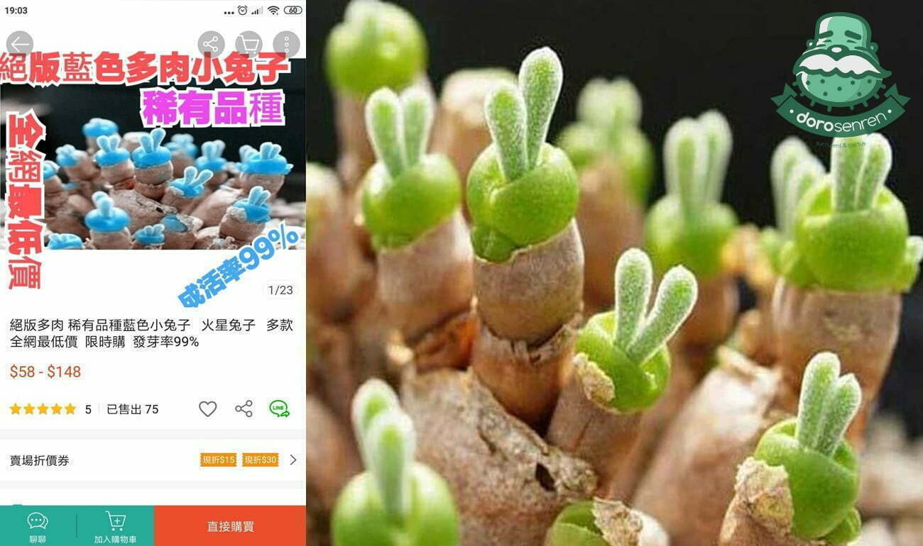 詐騙範例 藍色火星兔