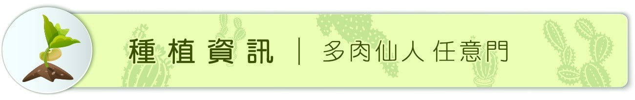 Dorosenren 多肉仙人
