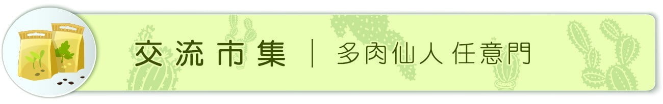 Dorosenren 多肉仙人