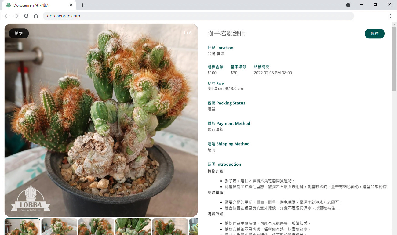 公平便利的競標功能