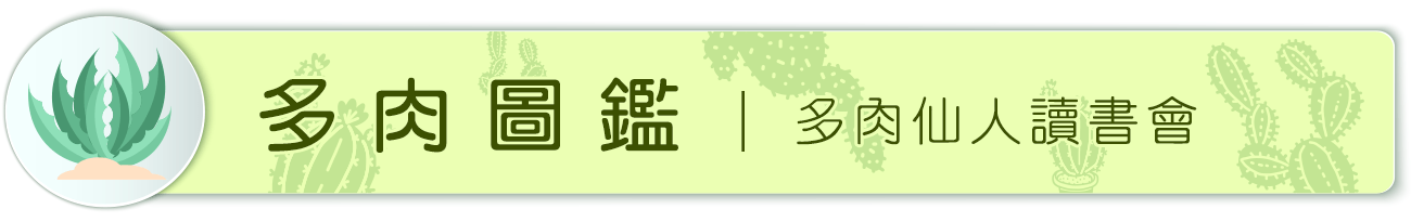 多肉仙人 讀書會 多肉圖鑑