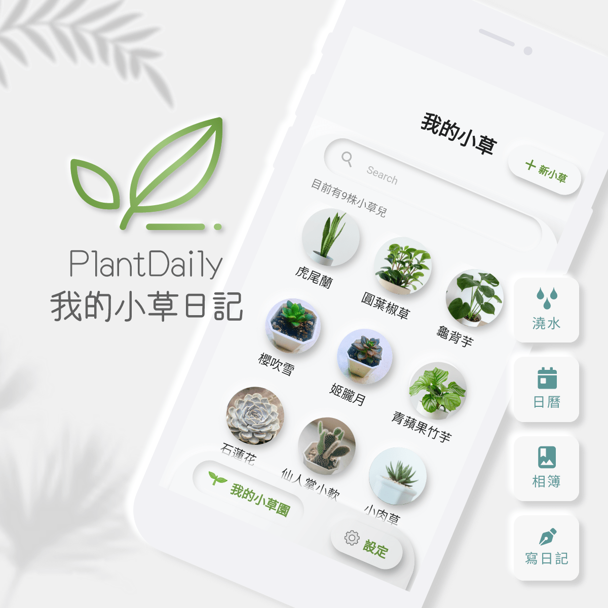 我的小草日記