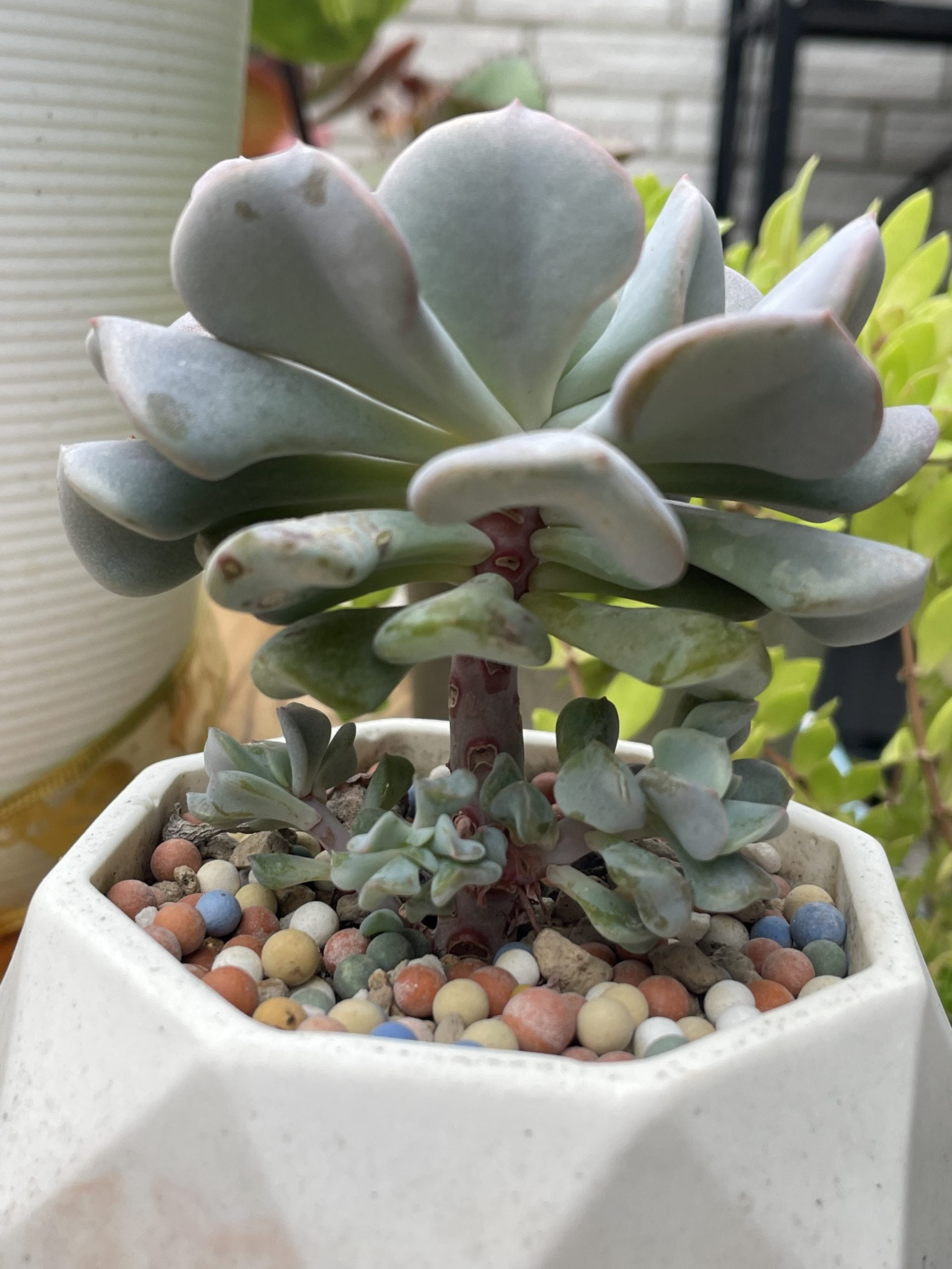 立方塊
