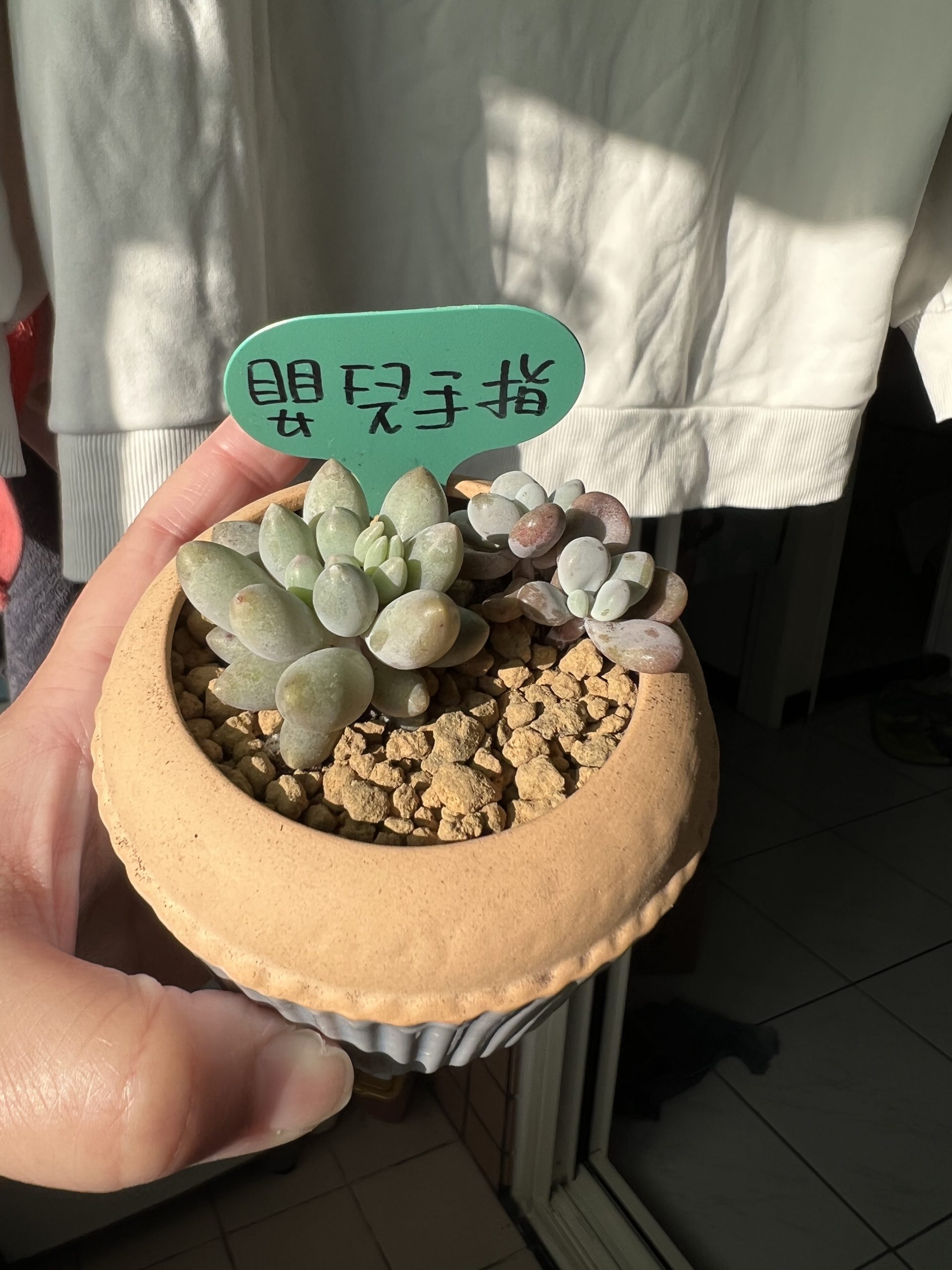 嬰兒手指