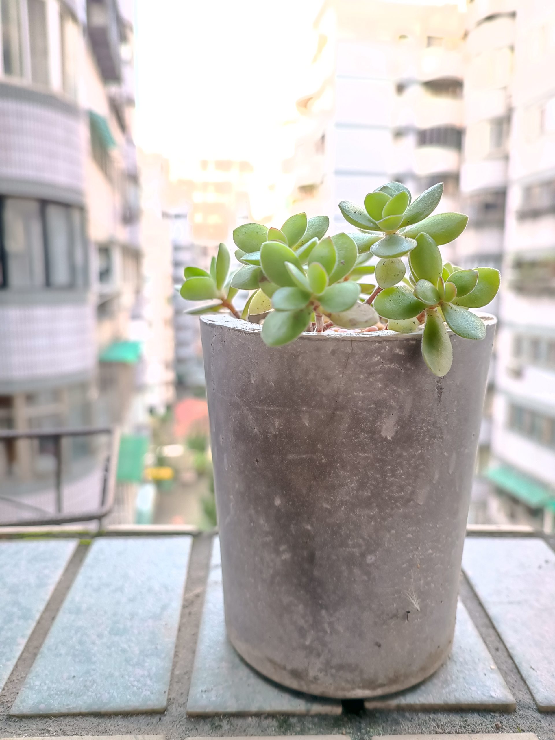 小水刀