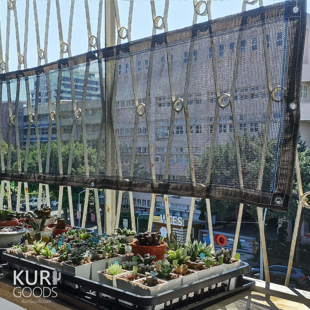客製化 黑網 透明布