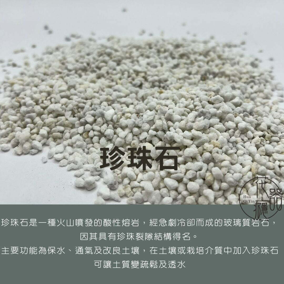 珍珠石