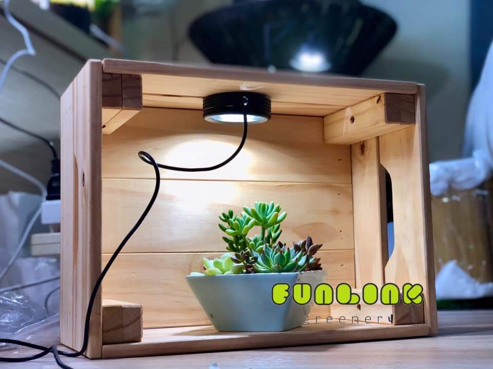紅狐任意貼7瓦植物燈
