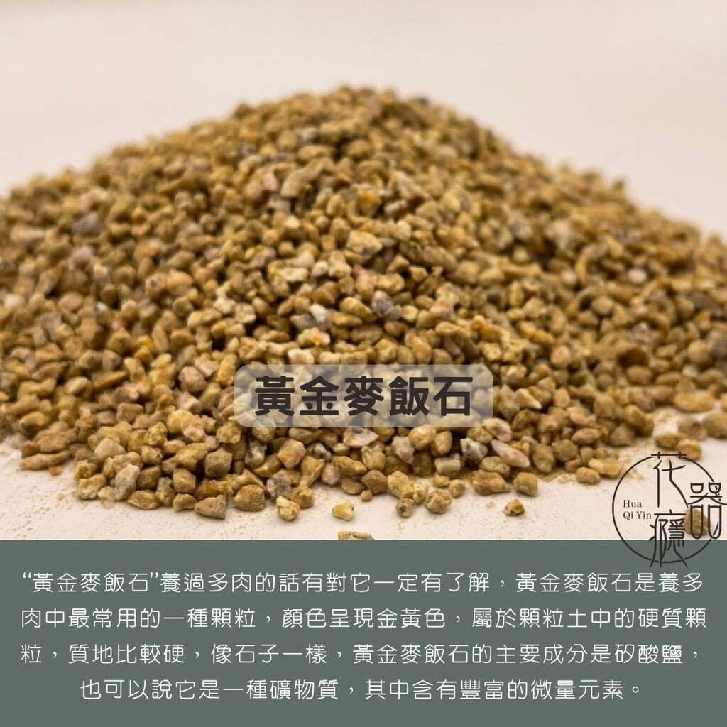 黃金麥飯石