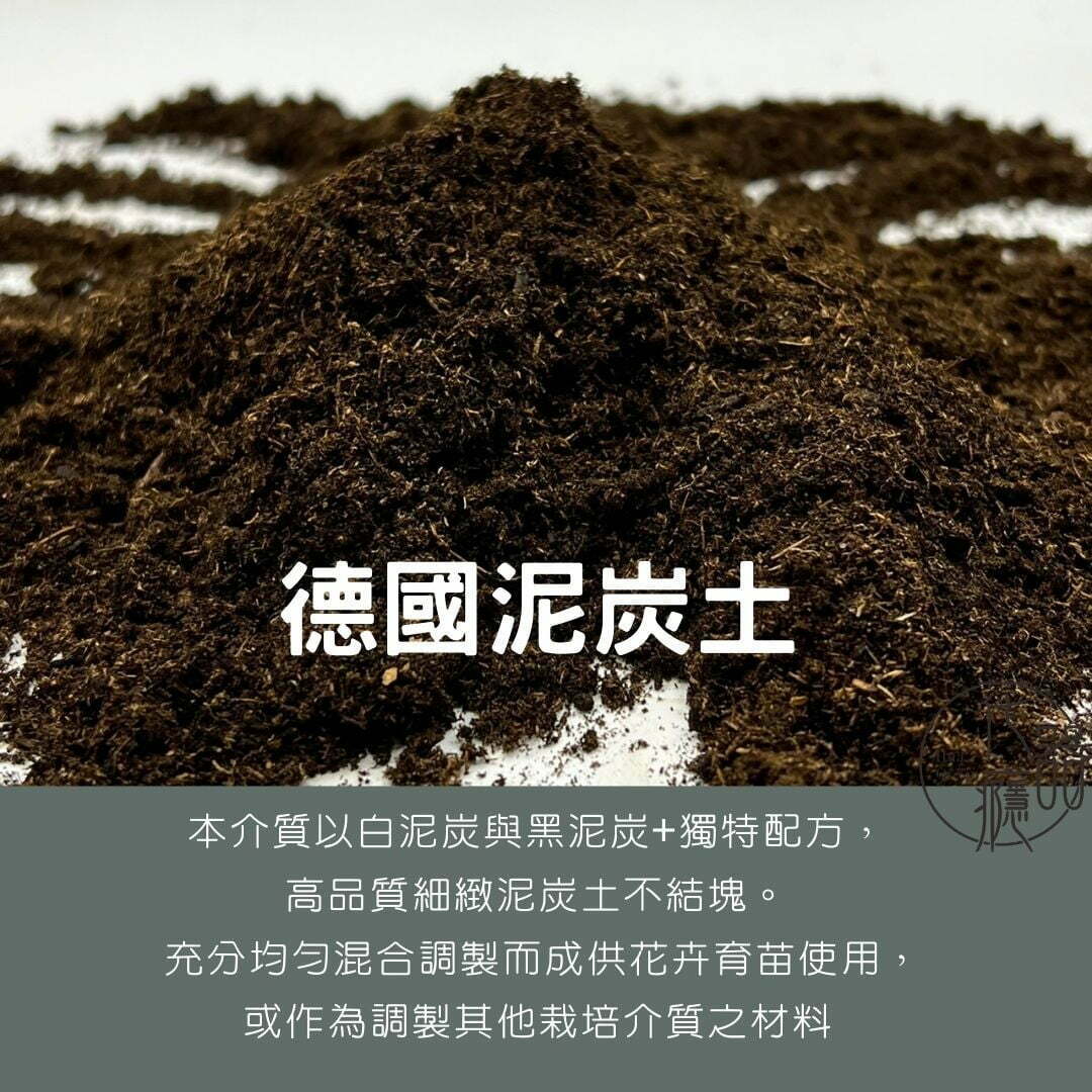 德國新史丹德貝斯 泥炭土 2L