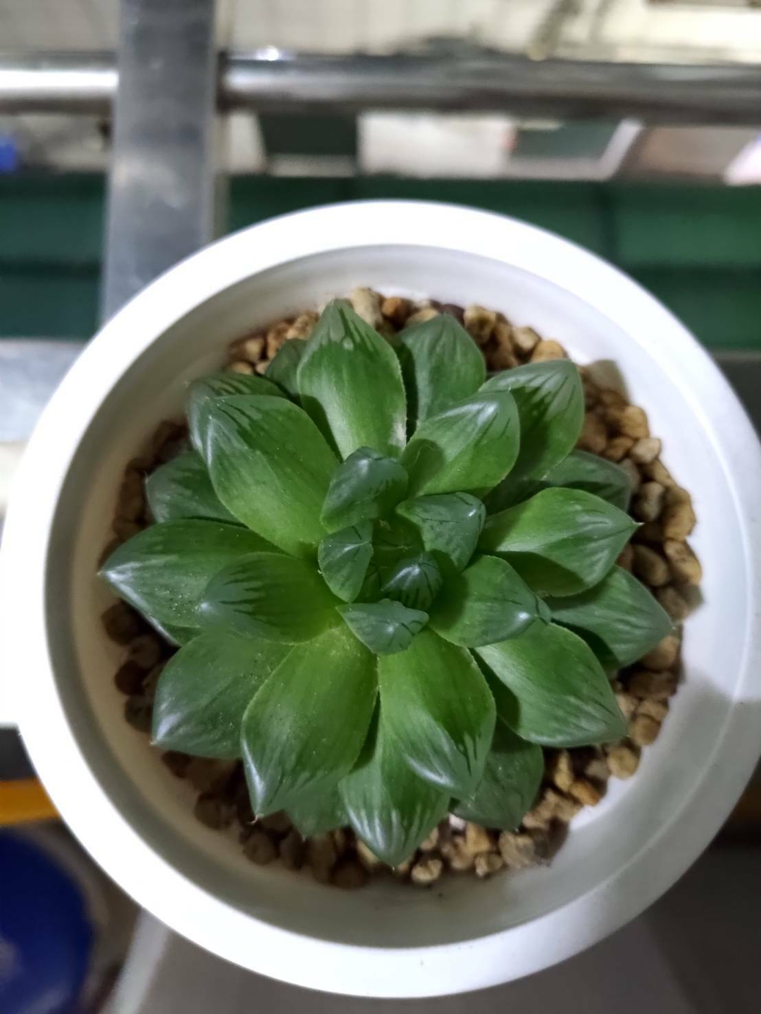花火