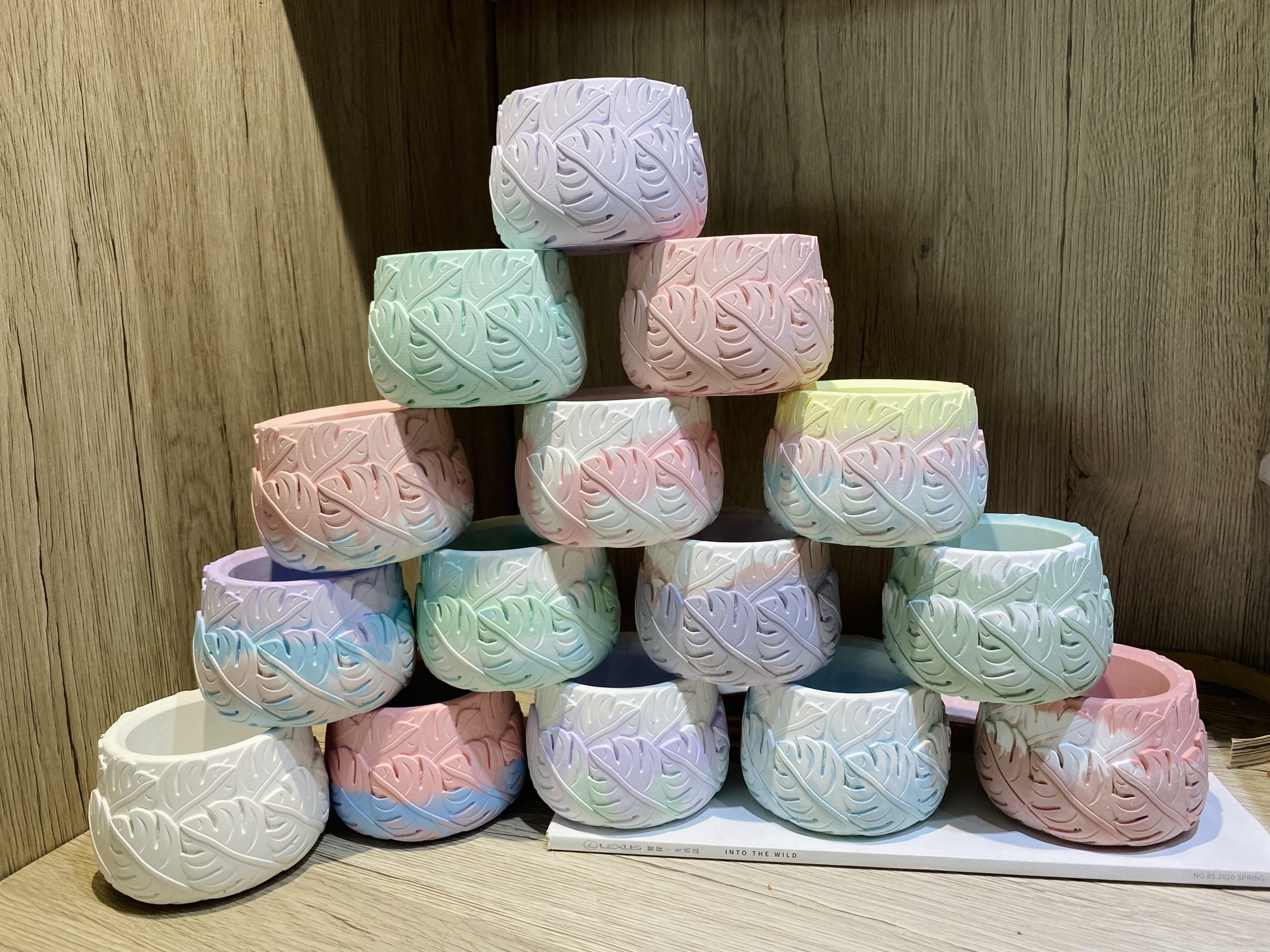 手作龜背芋水泥盆