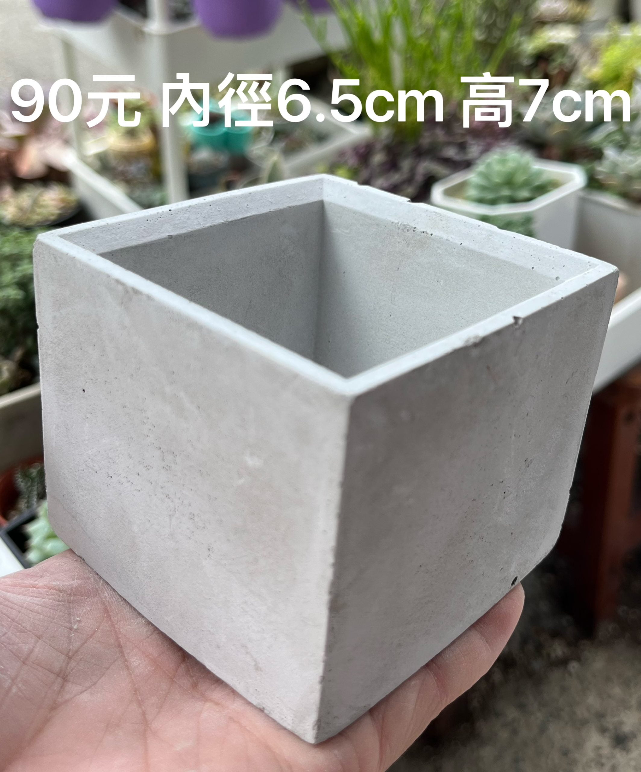 水泥盆