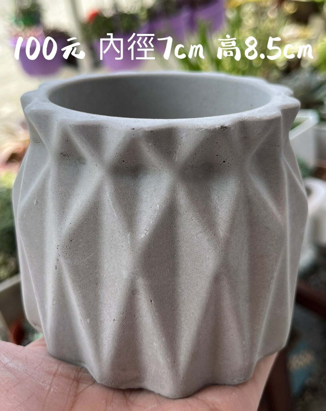 水泥盆