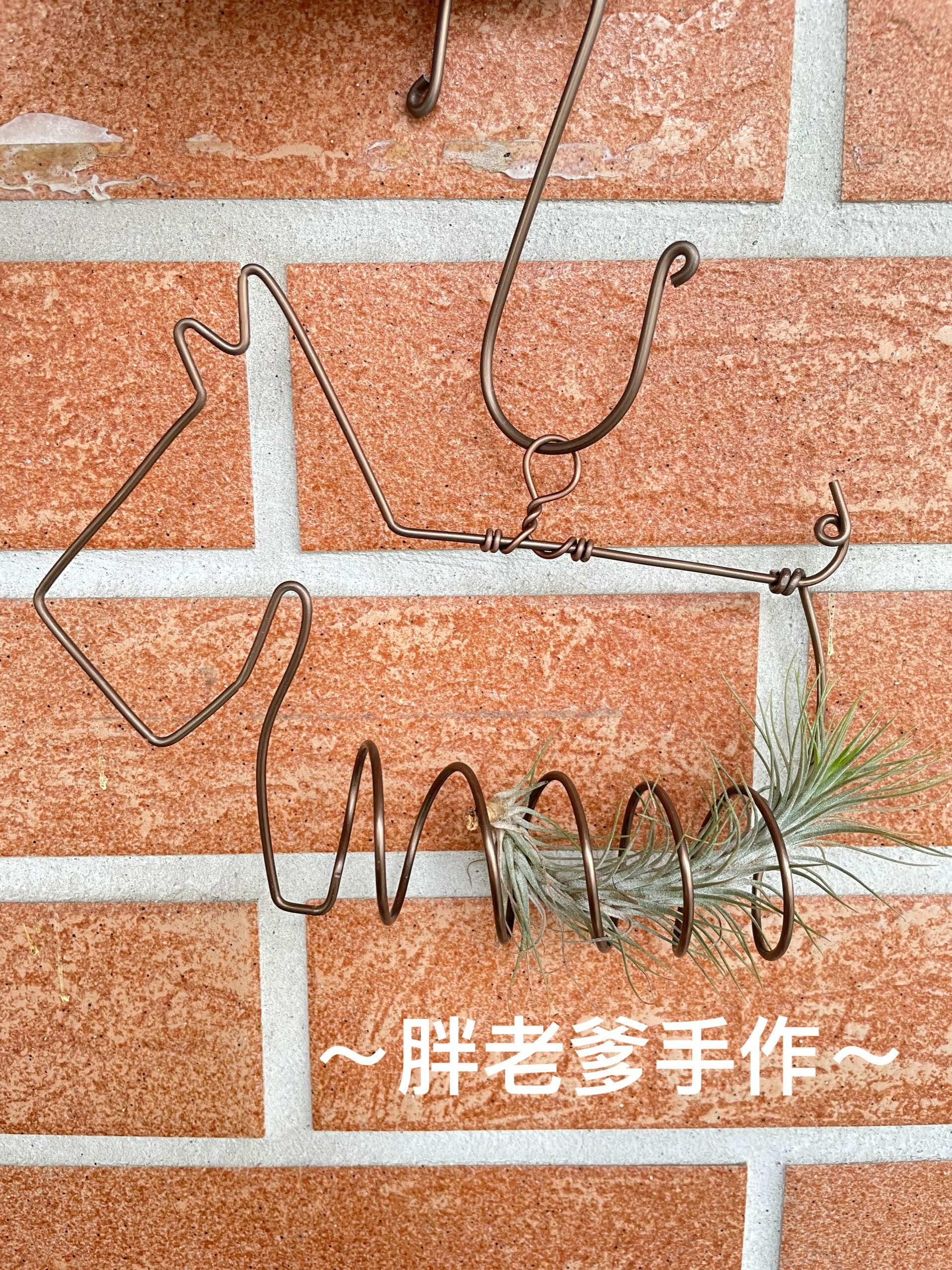 雪納瑞🐶