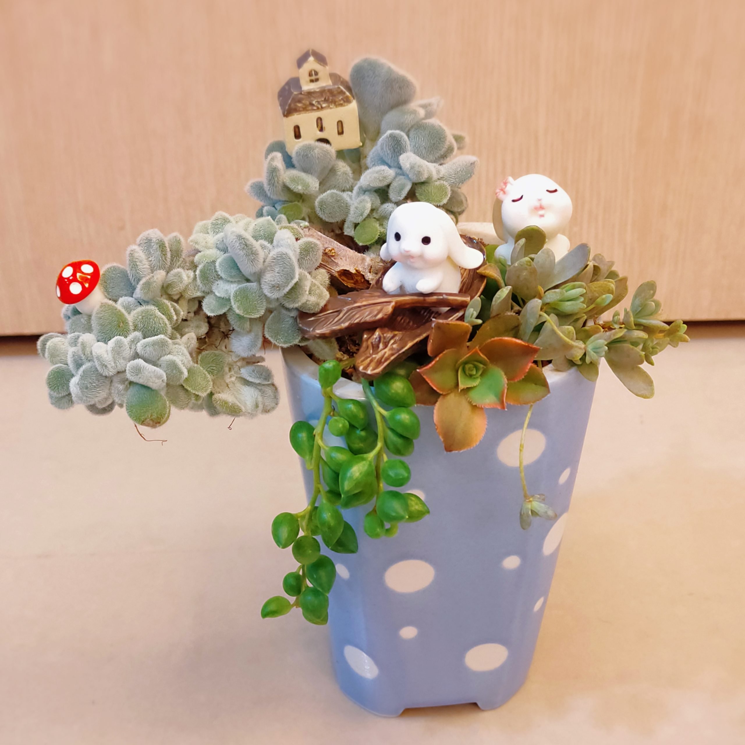 兔兔日常組盆