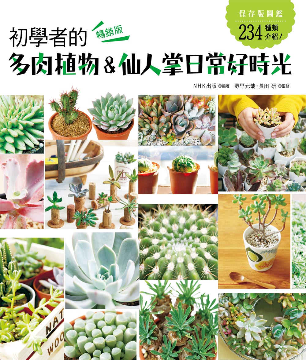初學者的多肉植物